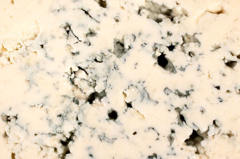 emergency mold removal in Wakefield 23888