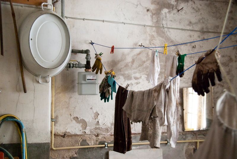 mold removal services in Brooksville 34601